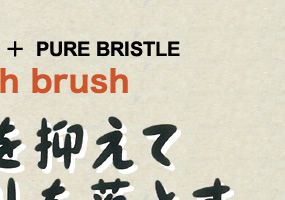 ANTI-STATIC  PURE BRISTLE Cloth brush