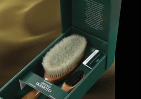 CLOTHESBRUSH  MAINTENANCE BRUSH