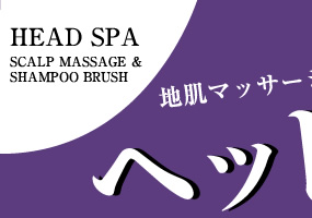 إåɥ Scalp massage & Shampoo brush HEAD SPA