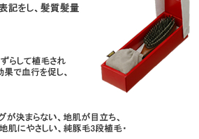 KENT GIFT BRUSH