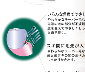 KENT ӻ֥饷