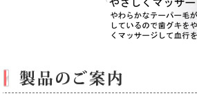 KENT ӻ֥饷