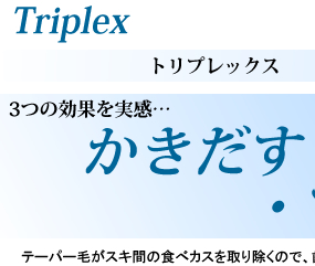 KENT Triplex ֥饷