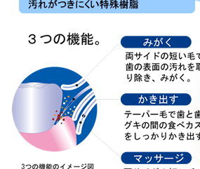 KENT Triplex ֥饷