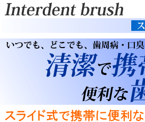 KENT Interdent Brush ֥֥饷
