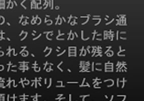 SR.EXECUTIVE إ֥饷