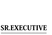 SR.EXECUTIVE إ֥饷