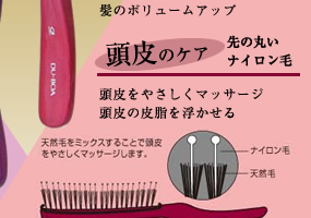 AGING SCALP CARE BRUSH ƬΥ󥰥