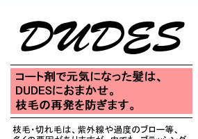 DUDES ɻߥإ֥饷